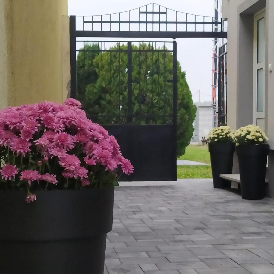 Villa Ponte Pančevo Exteriör bild